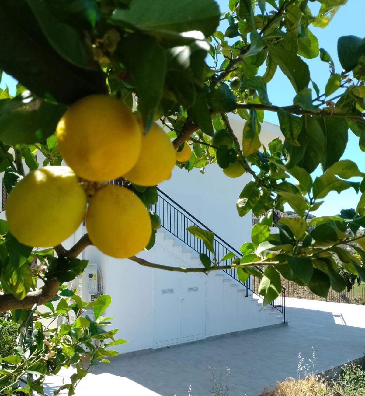 אלטאווילה מיליציה Granatelli Holiday Home מראה חיצוני תמונה